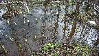mizubasho2-20250404142027.jpg
