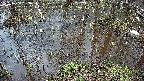 mizubasho2-20250404153032.jpg