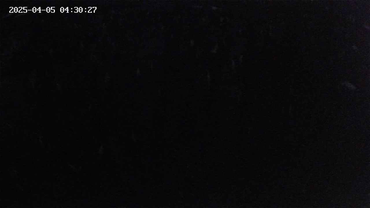 mizubasho2-20250405043027.jpg