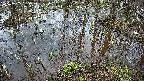 mizubasho2-20250405055030.jpg
