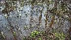 mizubasho2-20250405062030.jpg