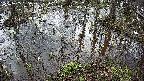 mizubasho2-20250405065028.jpg
