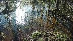 mizubasho2-20250405073028.jpg