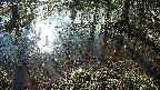 mizubasho2-20250405074027.jpg