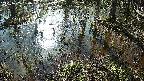 mizubasho2-20250405080028.jpg