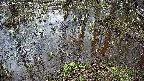 mizubasho2-20250405093030.jpg