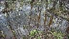 mizubasho2-20250405101031.jpg