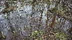 mizubasho2-20250405104027.jpg