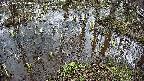 mizubasho2-20250405110031.jpg