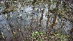 mizubasho2-20250405120030.jpg