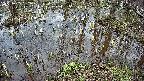 mizubasho2-20250405132029.jpg