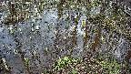 mizubasho2-20250405154030.jpg