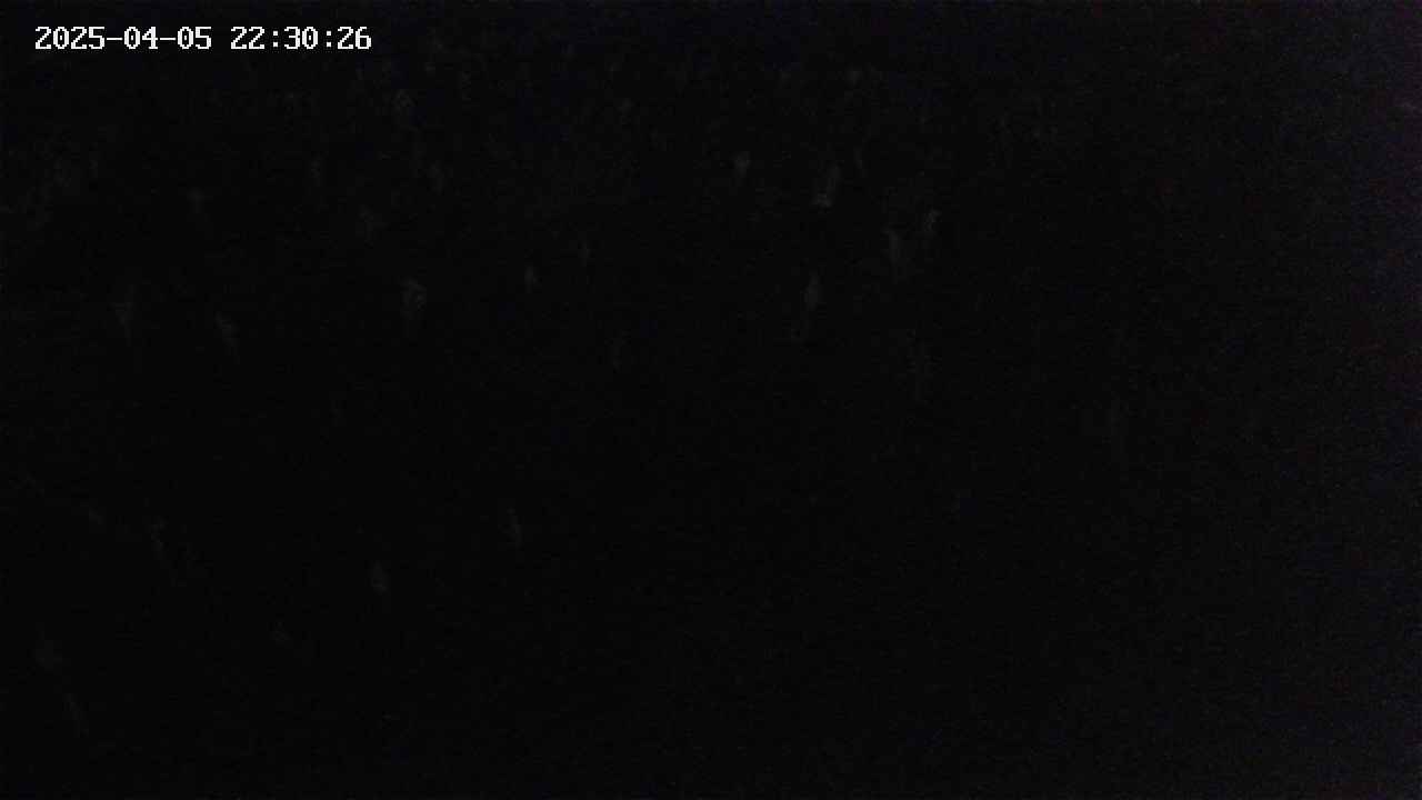 mizubasho2-20250405223027.jpg
