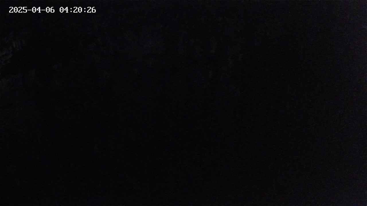 mizubasho2-20250406042027.jpg