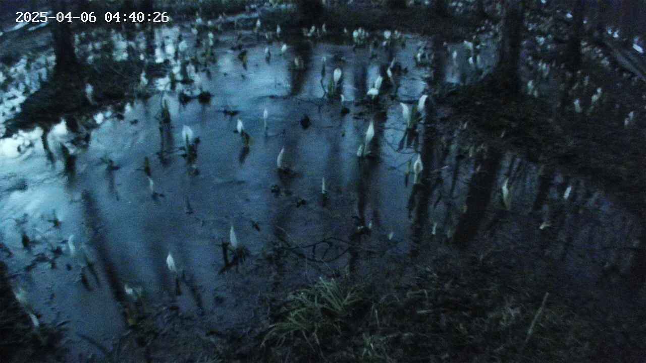 mizubasho2-20250406044026.jpg