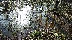 mizubasho2-20250406075029.jpg