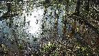 mizubasho2-20250406080028.jpg