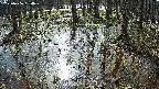 mizubasho2-20250406084028.jpg