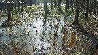 mizubasho2-20250406085027.jpg
