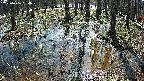 mizubasho2-20250406094031.jpg