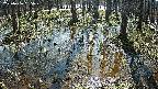 mizubasho2-20250406095028.jpg