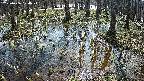 mizubasho2-20250406100027.jpg