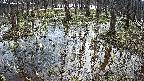 mizubasho2-20250406101031.jpg