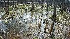 mizubasho2-20250406102029.jpg