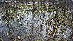 mizubasho2-20250406110029.jpg