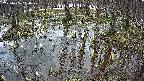 mizubasho2-20250406114031.jpg