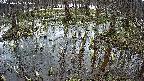mizubasho2-20250406115028.jpg