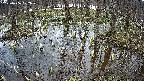 mizubasho2-20250406122028.jpg