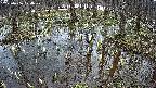mizubasho2-20250406124030.jpg