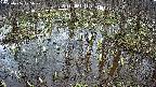 mizubasho2-20250406125030.jpg