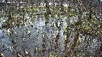 mizubasho2-20250406130030.jpg