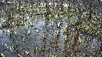 mizubasho2-20250406131031.jpg