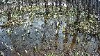 mizubasho2-20250406132028.jpg