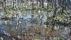 mizubasho2-20250406133028.jpg