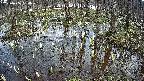 mizubasho2-20250406134029.jpg
