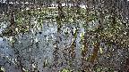 mizubasho2-20250406140030.jpg
