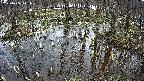 mizubasho2-20250406141028.jpg