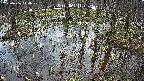 mizubasho2-20250406144029.jpg