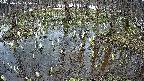 mizubasho2-20250406145031.jpg