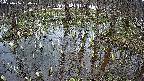 mizubasho2-20250406150029.jpg