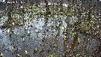 mizubasho2-20250406151030.jpg