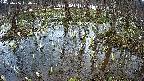 mizubasho2-20250406154030.jpg