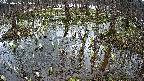 mizubasho2-20250406155029.jpg