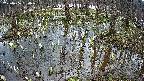 mizubasho2-20250406160032.jpg