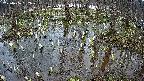 mizubasho2-20250406162031.jpg