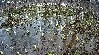 mizubasho2-20250406172029.jpg